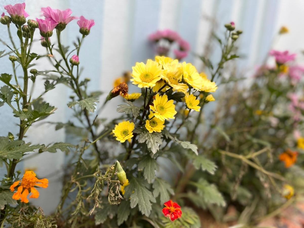 Вілла An Bungalow - Mai Chau Hoa Binh Екстер'єр фото