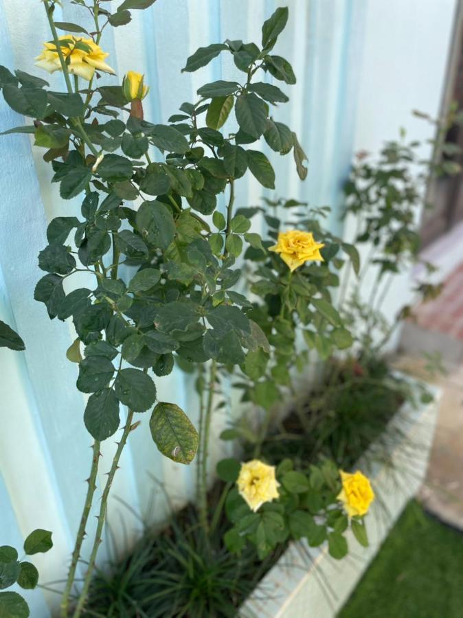 Вілла An Bungalow - Mai Chau Hoa Binh Екстер'єр фото